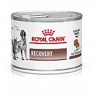 Royal Canin Dog & Cat RECOVERY LIQUID 促進恢復處方貓狗共用